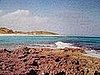 walked over a lot of coral - talk about a good pedicure lol